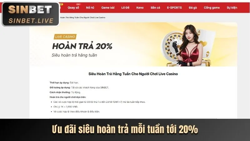 Hoàn trả siêu cao cho thành viên VIP